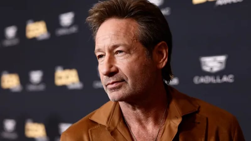 david duchovny net worth