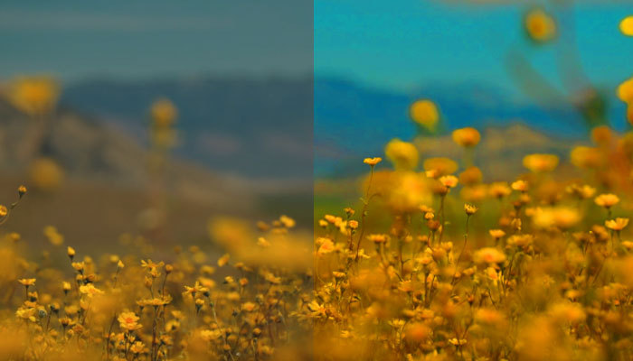 vibrance vs saturation