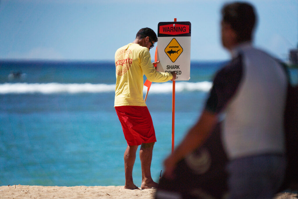 Lifeguards' Off-Season